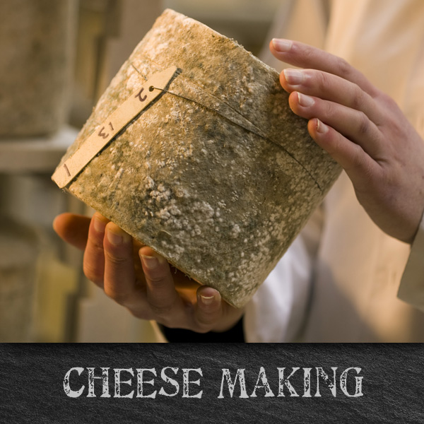 Cheese Making Days