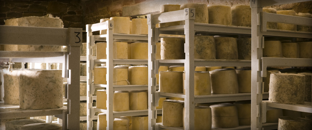 Thornby Moor Dairy - Our Cheeses